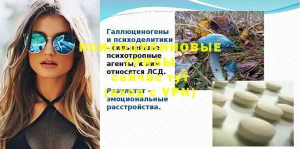 дурь Алексин