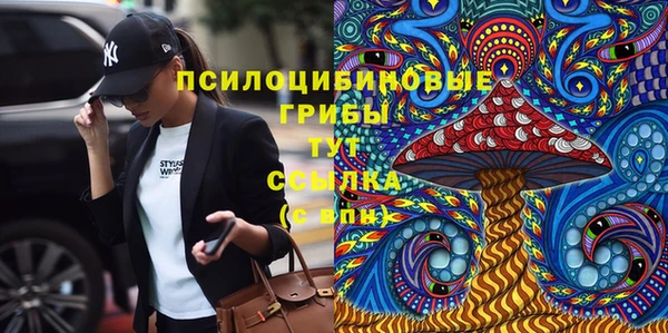 дурь Алексин