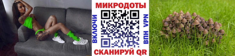 Псилоцибиновые грибы GOLDEN TEACHER  Хвалынск 